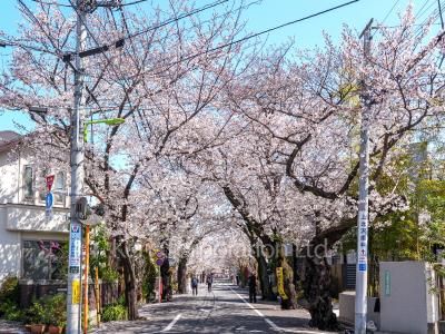  Neighborhood