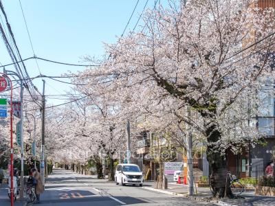  Neighborhood