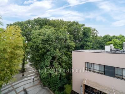 View from building