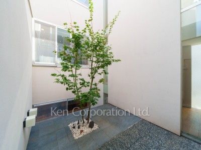 Courtyard/Greenery