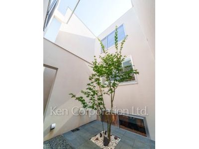Courtyard/Greenery