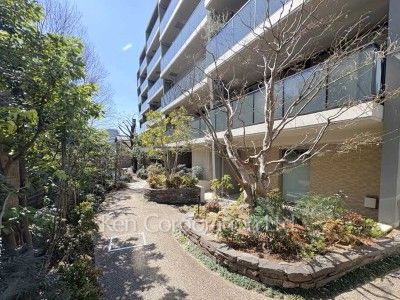 Courtyard/Greenery