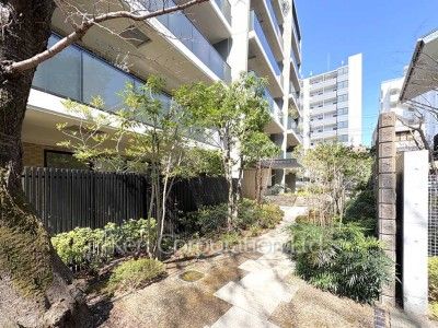 Courtyard/Greenery
