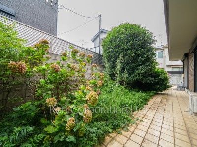 Courtyard/Greenery