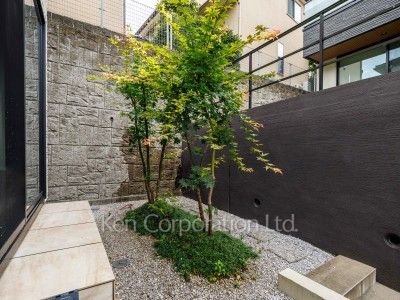 Courtyard/Greenery