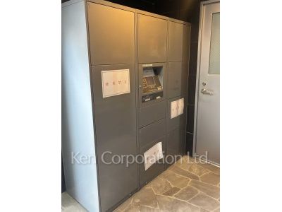 Mail/Delivery box