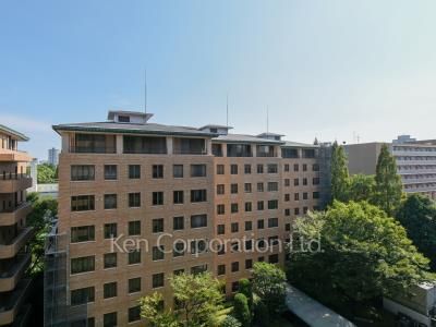 View from the property