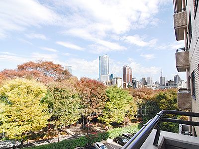 View from the property