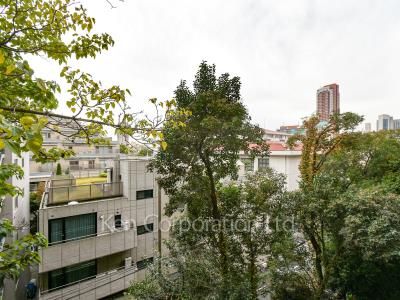 View from the property