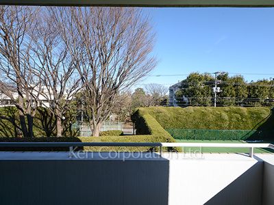 View from the property