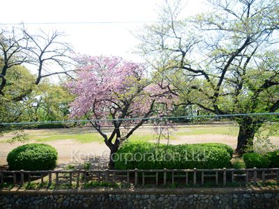 View from the property