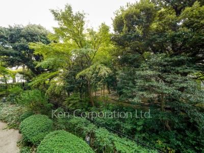 View from the property