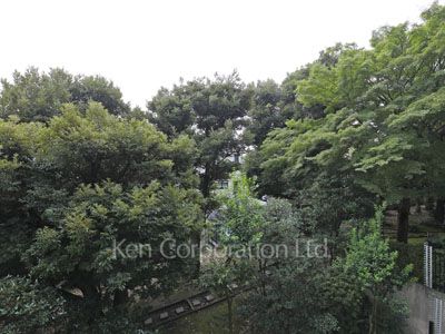 View from the property