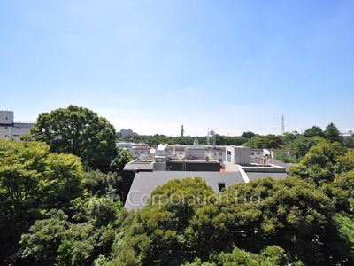 View from the property