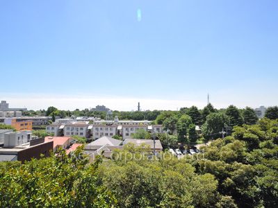 View from the property