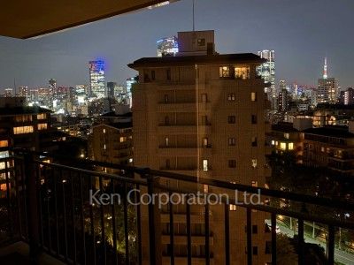 View from the property