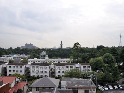 View from the property