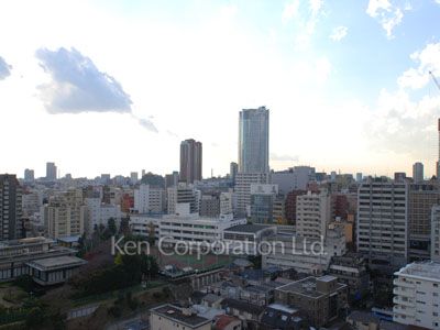 View from the property