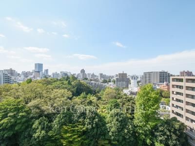 View from the property
