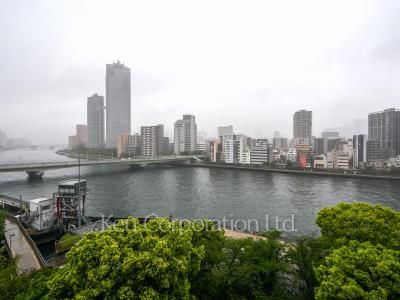 View from the property