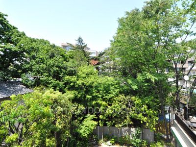 View from the property