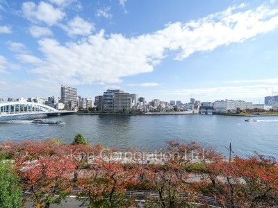 View from the property