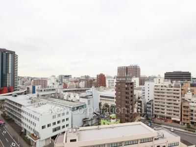 View from the property