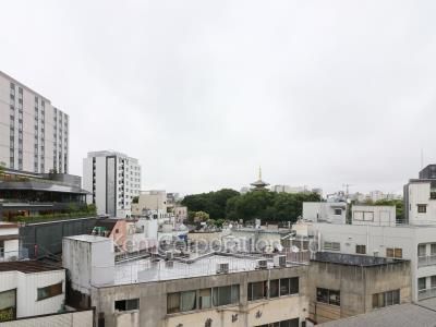 View from the property