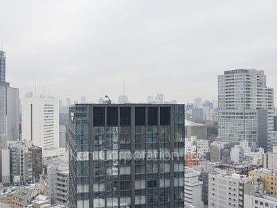 View from the property