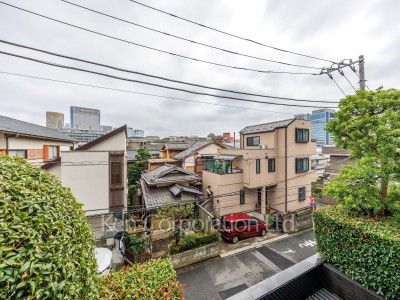 View from the property