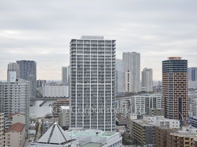 View from the property