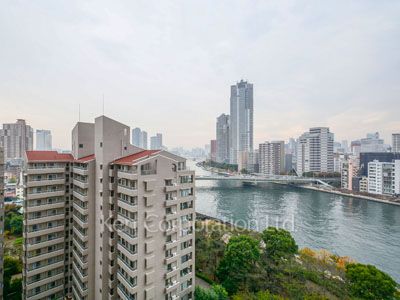 View from the property