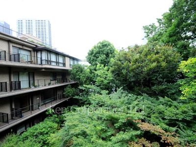 View from the property