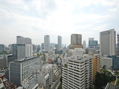 View from the property