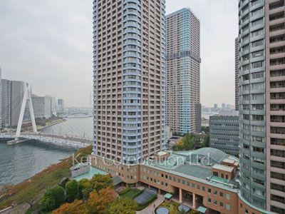 View from the property