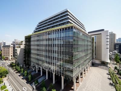 View from the property