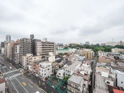 View from the property