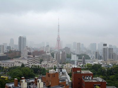 View from the property