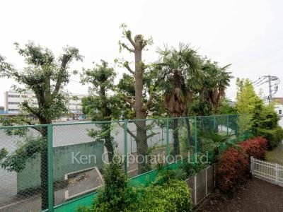 View from the property