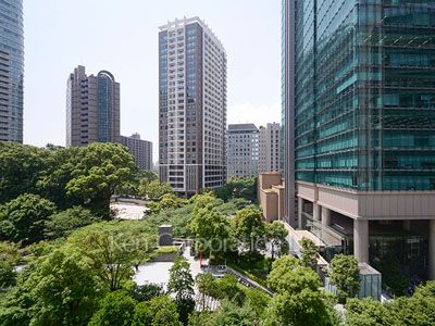 View from the property