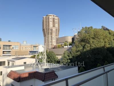 View from the property