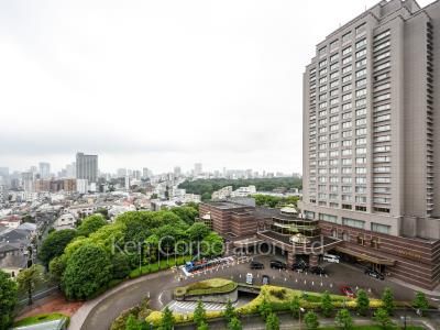 View from the property