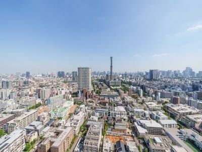 View from the property