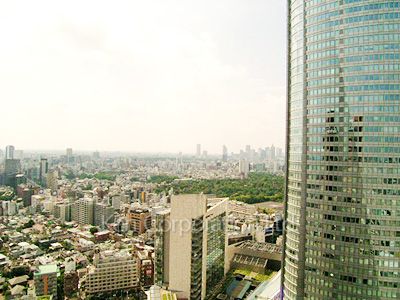 View from the property