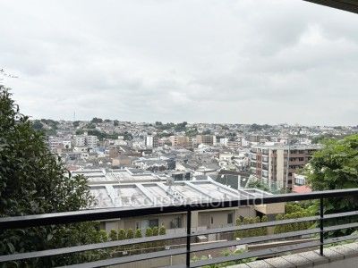 View from the property