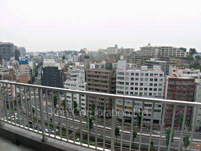 View from the property