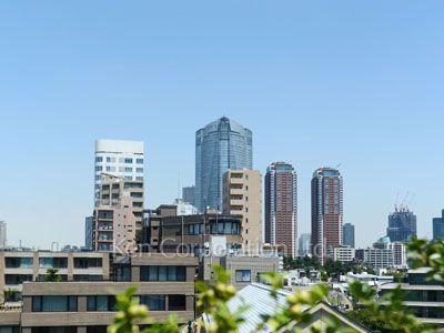 View from the property