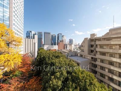 View from the property