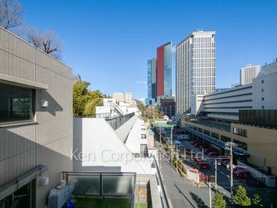 View from the property