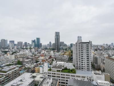 View from the property